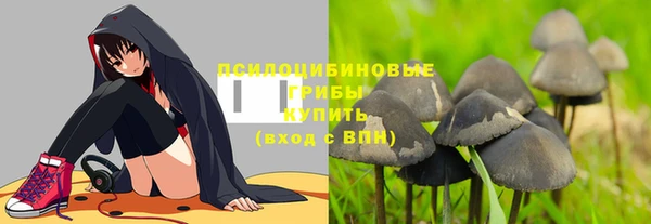 шишки Абинск