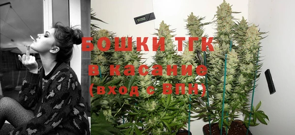 ПСИЛОЦИБИНОВЫЕ ГРИБЫ Алексин