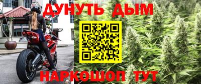 стафф Свободный