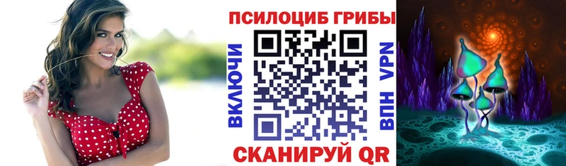 Псилоцибиновые грибы GOLDEN TEACHER  Раменское 