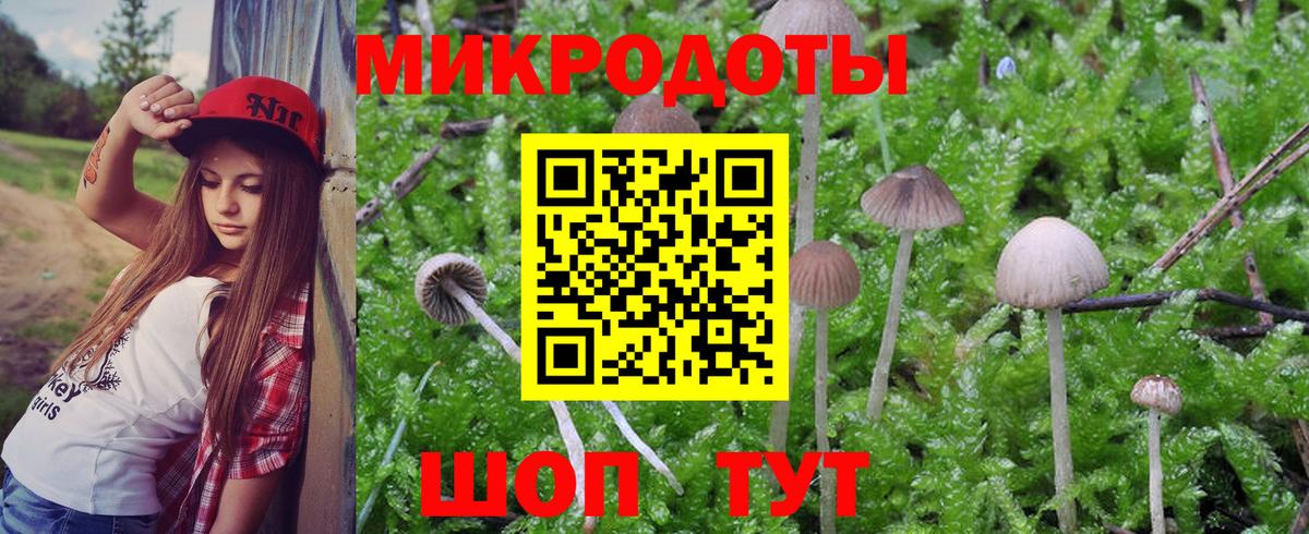 Галлюциногенные грибы Psilocybine cubensis  Вход с VPN  Раменское 